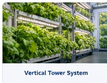 Greenhouse Hydroponic Systems