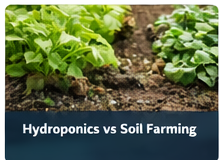 Hydroponics vs Soil Farming: Yield, Water, and ROI Comparison