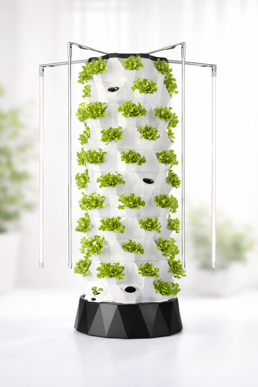 Greenhouse Hydroponic Upgrade for Protected Crops